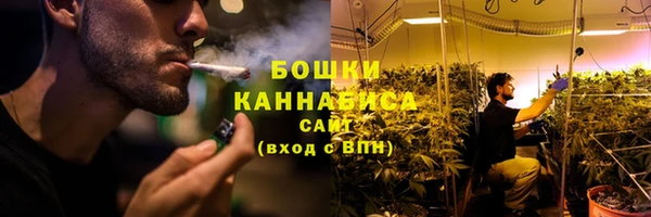 крисы Зеленодольск