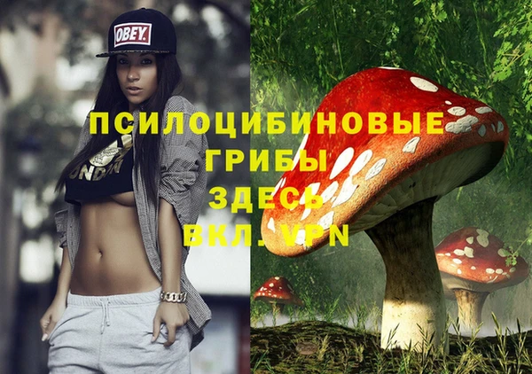 ALPHA PVP Иннополис