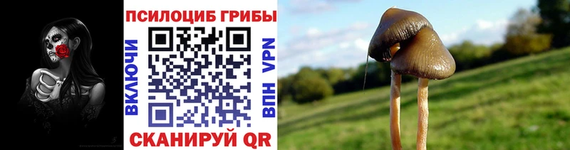 Псилоцибиновые грибы Cubensis  Купить где  Лаишево
